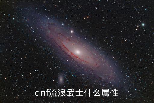 dnf流浪武士什么属性