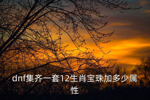 dnf收集箱加的什么属性，DNF1111更新的收集箱式什么