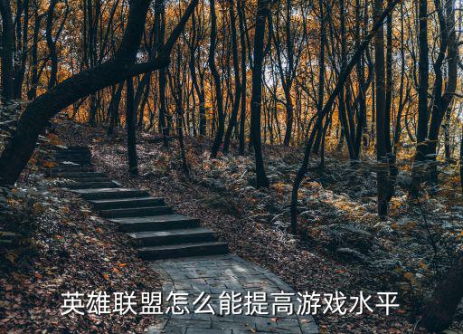 英雄联盟怎么能提高游戏水平