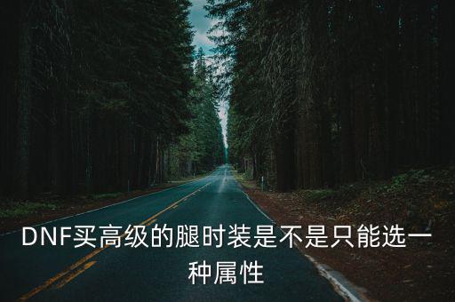 DNF买高级的腿时装是不是只能选一种属性