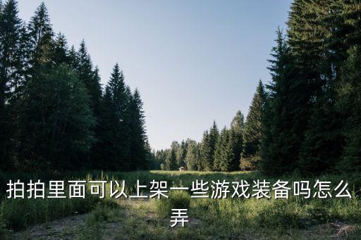 图片上加游戏装备怎么弄，怎样在照片上添加东西