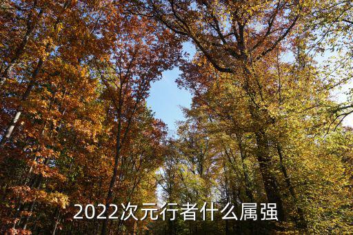2022次元行者什么属强