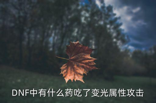 DNF中有什么药吃了变光属性攻击