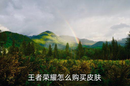 王者荣耀怎么购买皮肤