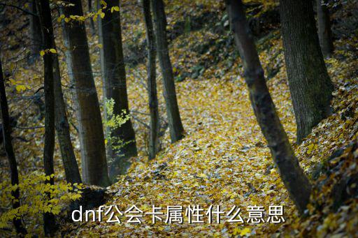 dnf公会卡属性什么意思