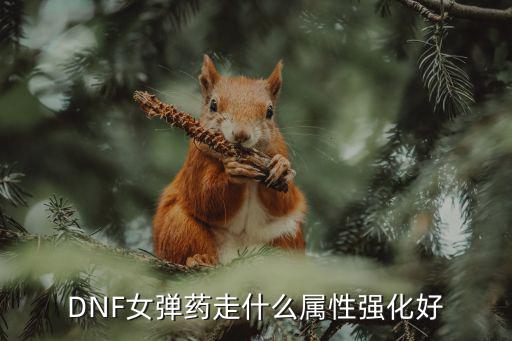 DNF女弹药走什么属性强化好