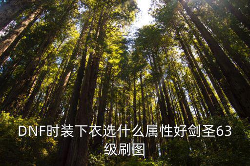 DNF时装下衣选什么属性好剑圣63级刷图