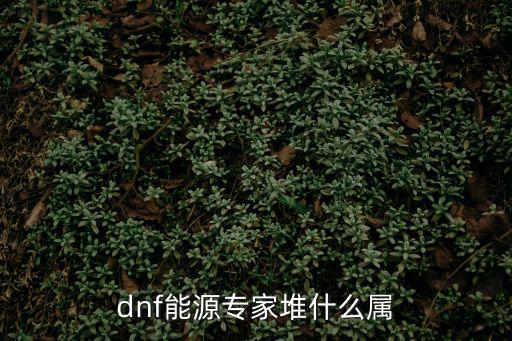 dnf源能专家走什么属性，DNF源能专家艾肯套属性如何选择