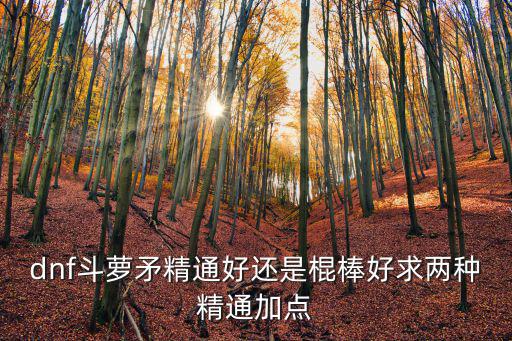 dnf斗萝加什么属性，DNF阿休罗加什么属性才正确
