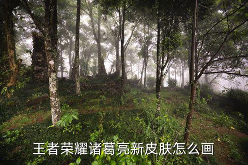 王者荣耀诸葛亮新皮肤怎么画