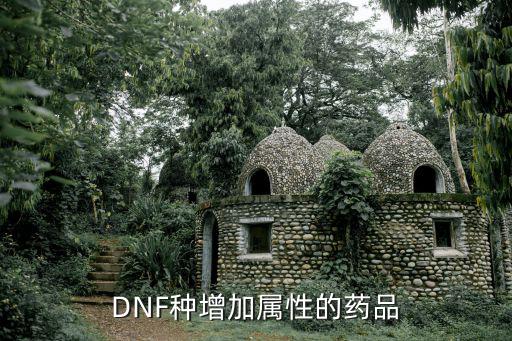 DNF种增加属性的药品