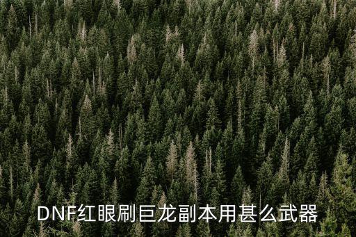 dnf刷巨龙用什么属性好，DNF红眼刷巨龙副本用甚么武器