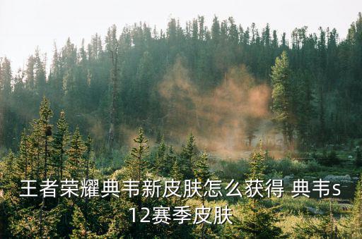 王者荣耀典韦新皮肤怎么获得 典韦s12赛季皮肤