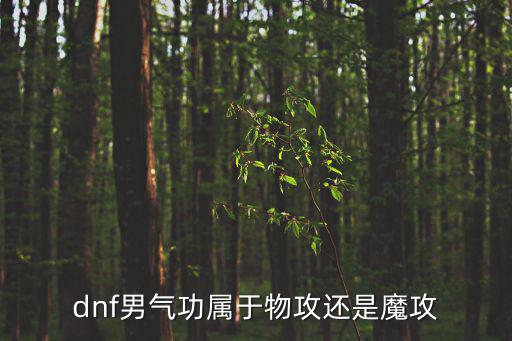 dnf男气功什么属性攻击，dnf男气功属性选择