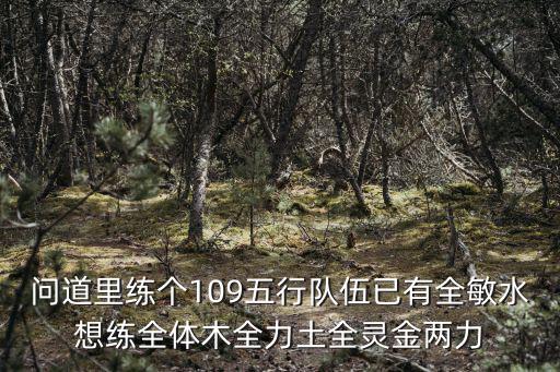 问道里练个109五行队伍已有全敏水想练全体木全力土全灵金两力