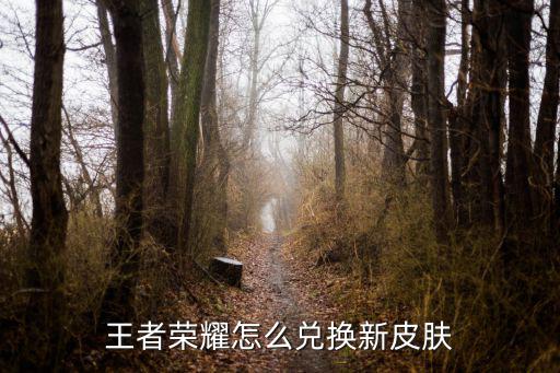 王者荣耀怎么兑换新皮肤