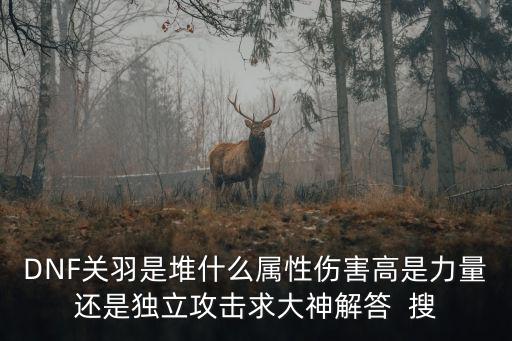 DNF关羽是堆什么属性伤害高是力量还是独立攻击求大神解答 搜