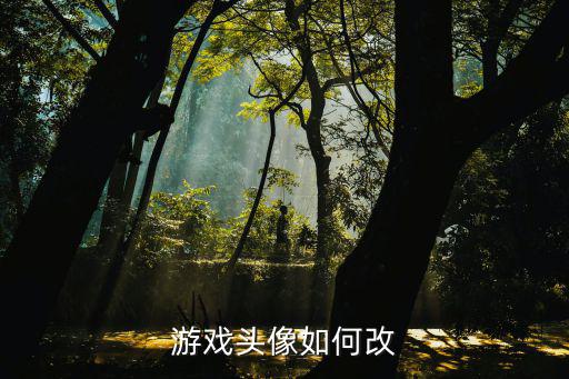 游戏头像如何改