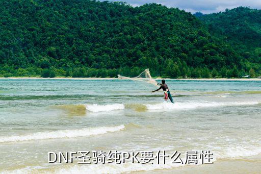 DNF圣骑纯PK要什么属性