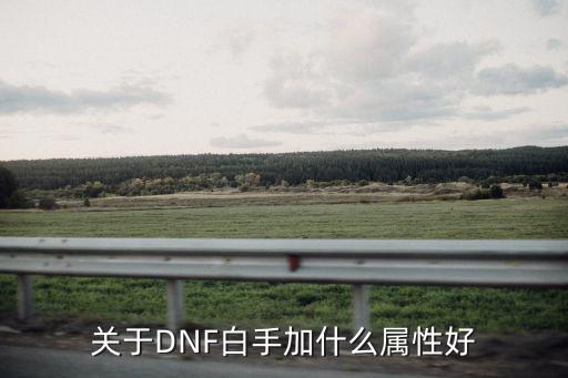 dnf白手堆选什么属性，关于DNF白手加什么属性好