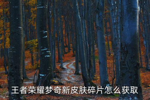 王者荣耀梦奇新皮肤碎片怎么获取