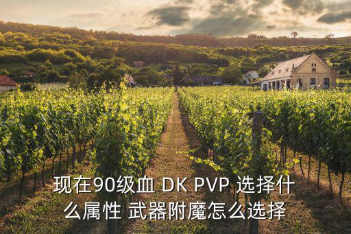 现在90级血 DK PVP 选择什么属性 武器附魔怎么选择