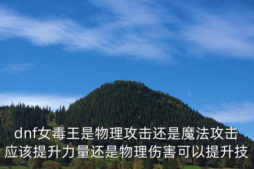 dnf女毒王是物理攻击还是魔法攻击应该提升力量还是物理伤害可以提升技