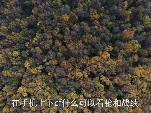 在手机上下cf什么可以看枪和战绩
