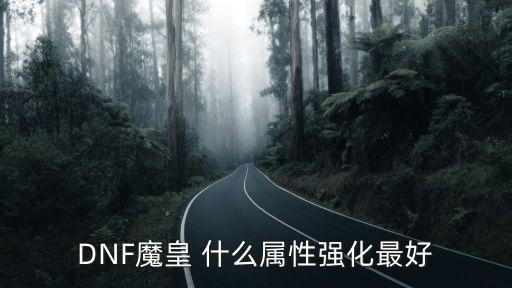 dnf魔皇需要强什么属性，DNF魔皇 什么属性强化最好