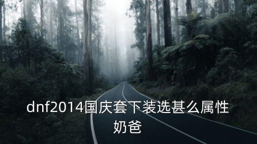 dnf奶爸裤子选什么属性，dnf2014国庆套下装选甚么属性奶爸