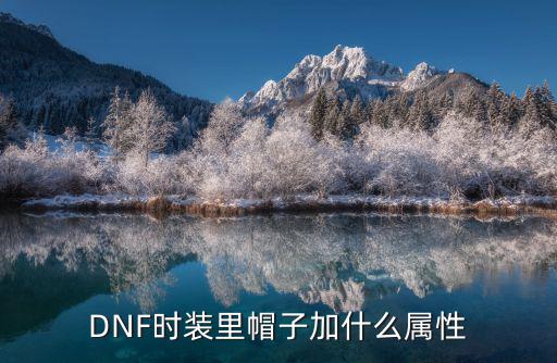 dnf金身帽子加什么属性，DNF时装里帽子加什么属性