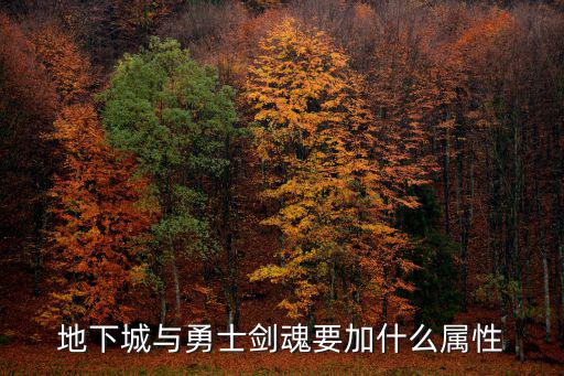 地下城与勇士剑魂要加什么属性