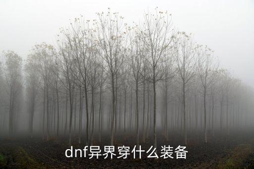 dnf带什么异界套装属性，异界套有什么属性啊