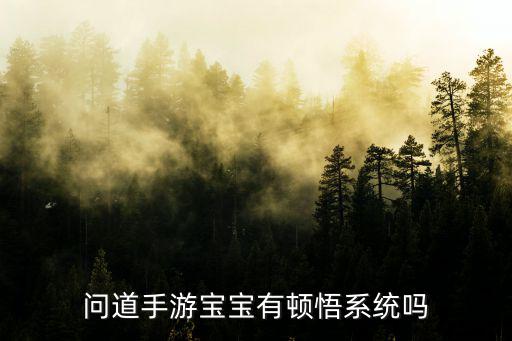 问道手游宝宝有顿悟系统吗