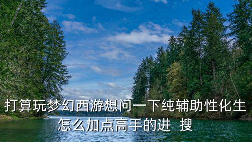 打算玩梦幻西游想问一下纯辅助性化生怎么加点高手的进 搜