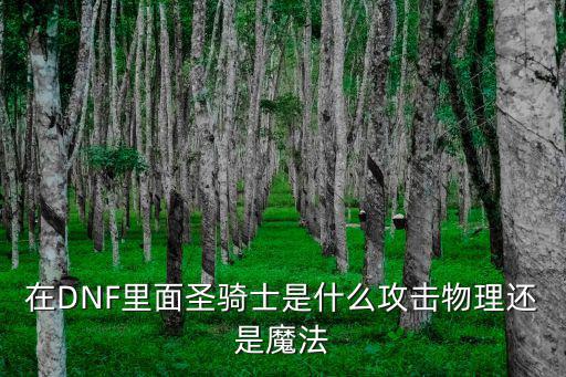 dnf手游圣骑士什么属性，在DNF里面圣骑士是什么攻击物理还是魔法