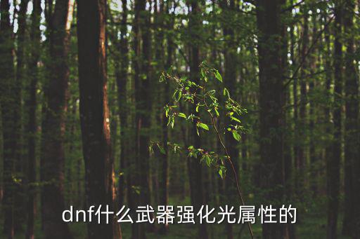 dnf什么武器强化光属性的