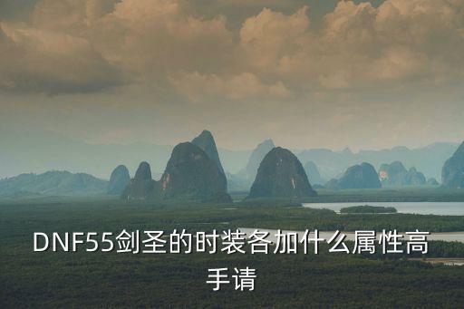 DNF55剑圣的时装各加什么属性高手请