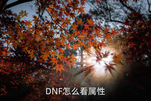 DNF怎么看属性