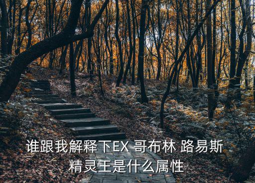 谁跟我解释下EX 哥布林 路易斯 精灵王是什么属性
