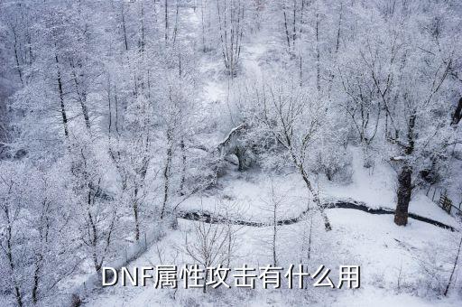 dnf属性攻击看什么用，DNF中各个属性攻击各有什么用