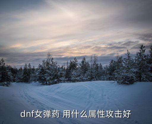 dnf女弹药打什么属性好，女弹药 打什么属性卡好