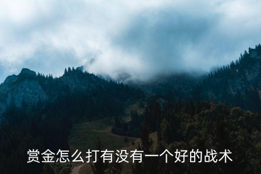 赏金怎么打有没有一个好的战术
