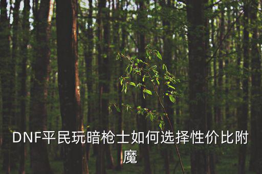 dnf暗枪士看什么属性，DNF平民玩暗枪士如何选择性价比附魔