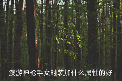 dnf神枪手女什么属性好，地下城与勇士中神枪手 加什么属性好