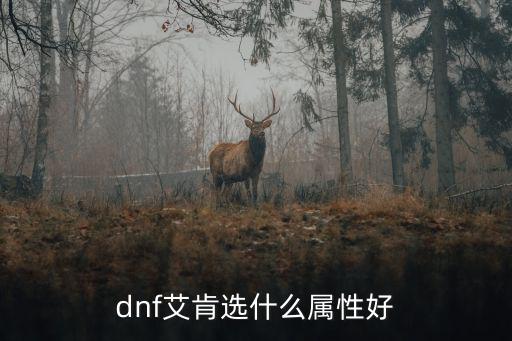 dnf艾肯戒子什么属性，DNF念帝完美艾肯套选什么属性