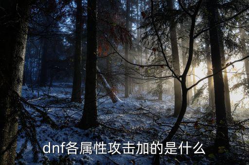 dnf各属性攻击加的是什么