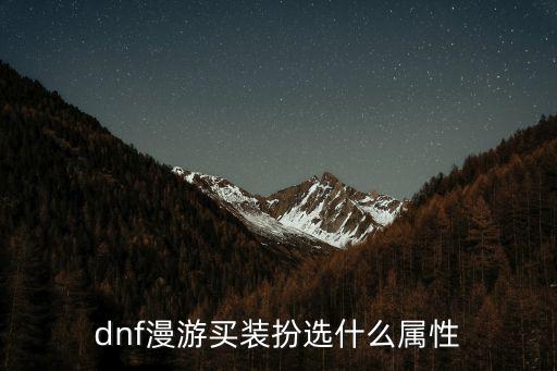 dnf漫游装扮选什么属性，dnf漫游买装扮选什么属性