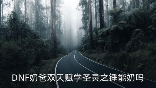 DNF奶爸双天赋学圣灵之锤能奶吗