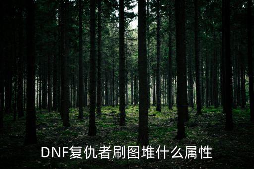 DNF复仇者刷图堆什么属性